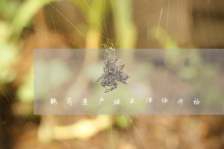 鹤岗遗产继承律师价格 鹤岗遗产继承律师价格