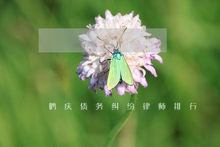 鹤庆债务纠纷律师排行 鹤庆债务纠纷律师排行