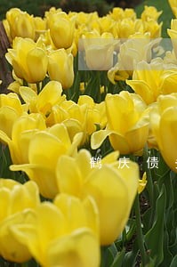 鹤庆债务纠纷律师热线电话 鹤庆债务纠纷律师热线电话