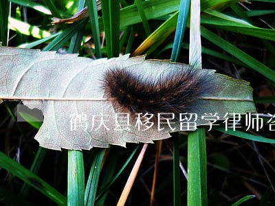 鹤庆县移民留学律师咨询电话 鹤庆县移民留学律师咨询电话
