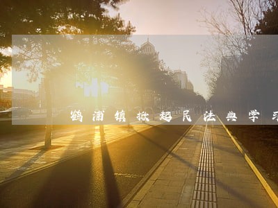 鹤浦镇掀起民法典学习热潮 鹤浦镇掀起民法典学习热潮