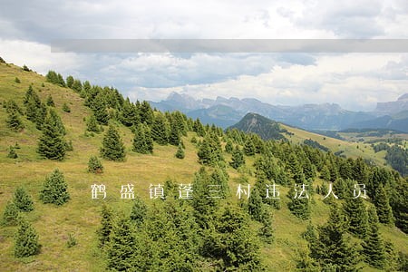 鹤盛镇蓬三村违法人员 鹤盛镇蓬三村违法人员