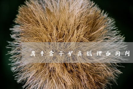 鹰手营子矿区抵押合同纠纷律师 鹰手营子矿区抵押合同纠纷律师