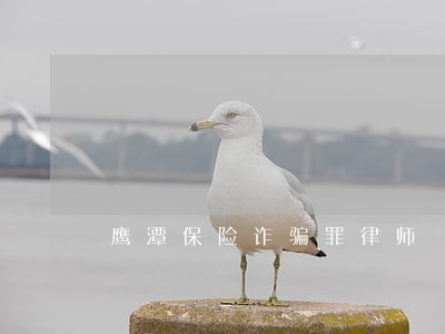 鹰潭保险诈骗罪律师 鹰潭保险诈骗罪律师