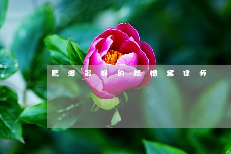 鹰潭最好的婚姻案律师 鹰潭最好的婚姻案律师