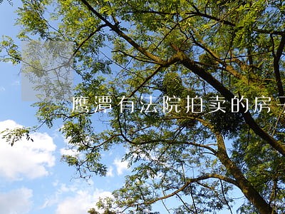鹰潭有法院拍卖的房子吗 鹰潭有法院拍卖的房子吗
