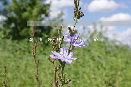 鹰潭法律援助中心 鹰潭法律援助中心