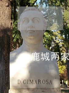 鹿城两家餐饮店被法院强制执行 鹿城两家餐饮店被法院强制执行