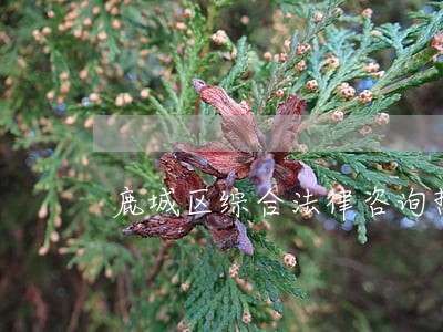 鹿城区综合法律咨询热线 鹿城区综合法律咨询热线