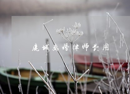 鹿城离婚律师费用 鹿城离婚律师费用