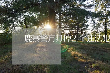鹿寨警方打掉2个违法犯罪团伙 鹿寨警方打掉2个违法犯罪团伙