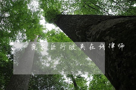 鹿泉区行政类在线律师