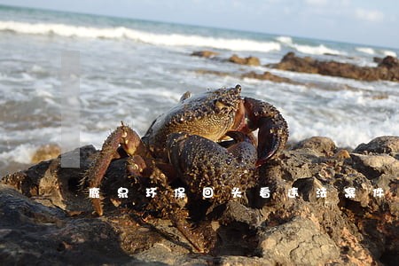 鹿泉环保回头看违法案件回复 鹿泉环保回头看违法案件回复