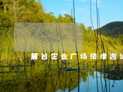 麓谷企业广场法律咨询是怎么样 麓谷企业广场法律咨询是怎么样