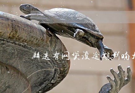 麟选有网贷没逾期影响大吗 麟选有网贷没逾期影响大吗