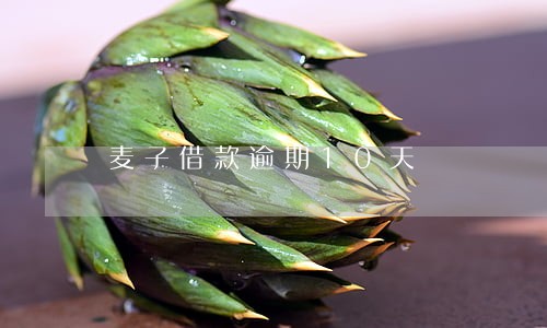 麦子借款逾期10天 麦子借款逾期10天