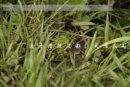 麦子借款逾期1天没人打电话 麦子借款逾期1天没人打电话