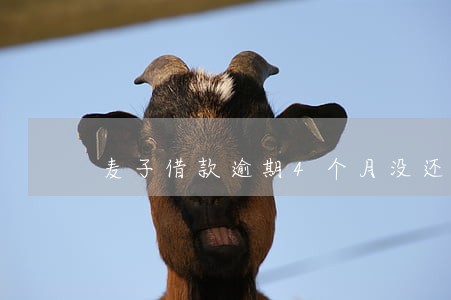 麦子借款逾期4个月没还