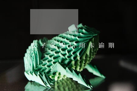 麦子金服信用卡逾期 麦子金服信用卡逾期