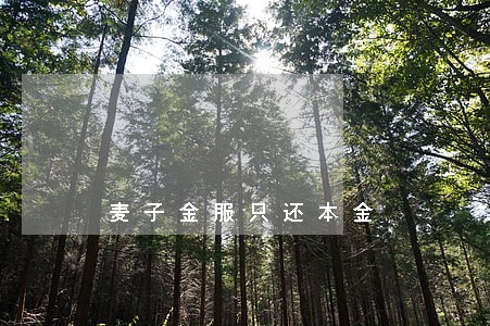 麦子金服只还本金 麦子金服只还本金