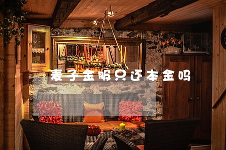 麦子金服只还本金吗 麦子金服只还本金吗