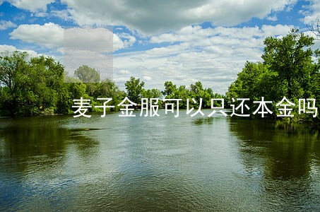 麦子金服可以只还本金吗 麦子金服可以只还本金吗