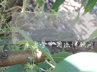 麦当劳中国法律顾问 麦当劳中国法律顾问