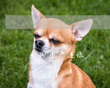 麦田房产违法 麦田房产违法