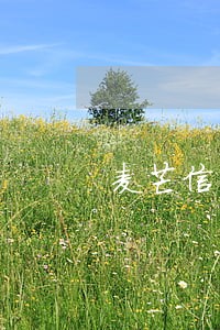 麦芒信用管家逾期会上门吗 麦芒信用管家逾期会上门吗