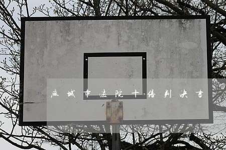 麻城市法院十倍判决书 麻城市法院十倍判决书