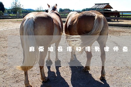 麻栗坡县债权债务律师查询 麻栗坡县债权债务律师查询