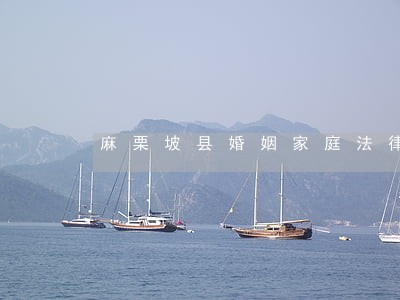 麻栗坡县婚姻家庭法律咨询 麻栗坡县婚姻家庭法律咨询