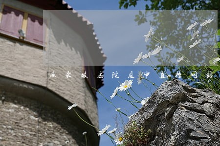 麻栗坡法院庭审直播网站 麻栗坡法院庭审直播网站