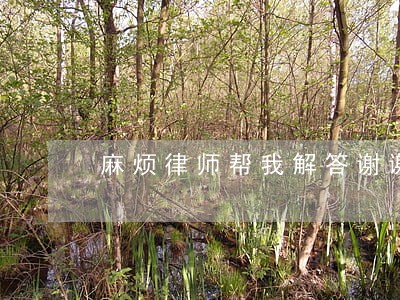 麻烦律师帮我解答谢谢 麻烦律师帮我解答谢谢