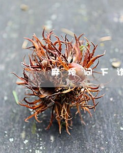 麻烦问下诈骗罪已经被法院起诉了 麻烦问下诈骗罪已经被法院起诉了