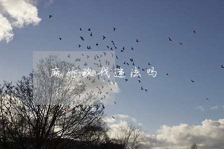 麻竹砍伐违法吗 麻竹砍伐违法吗