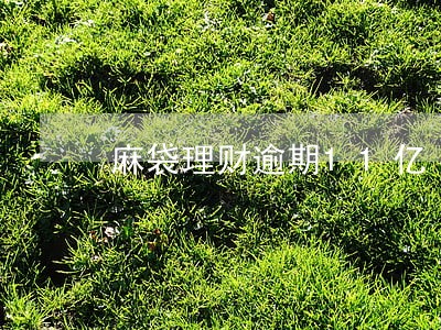 麻袋理财逾期11亿 麻袋理财逾期11亿