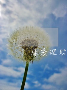 麻袋理财逾期风险保障金多少钱 麻袋理财逾期风险保障金多少钱