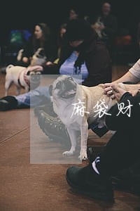 麻袋财富怎么这么多逾期的