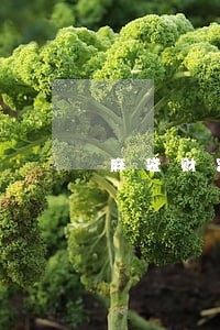 麻袋财富逾期20亿 麻袋财富逾期20亿