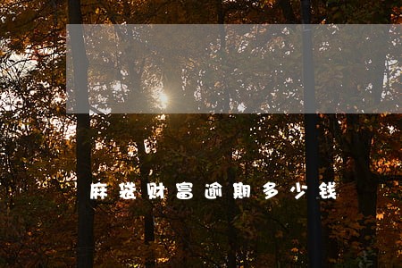 麻袋财富逾期多少钱 麻袋财富逾期多少钱