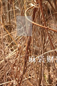 麻袋财富逾期金额 麻袋财富逾期金额