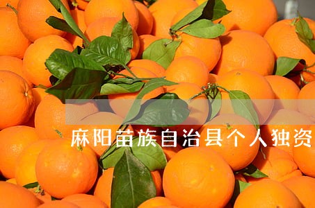 麻阳苗族自治县个人独资在线律师 麻阳苗族自治县个人独资在线律师