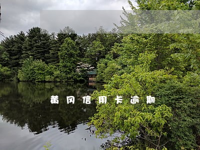 黄冈信用卡逾期 黄冈信用卡逾期