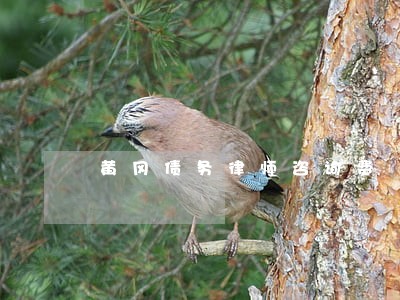 黄冈债务律师咨询费 黄冈债务律师咨询费