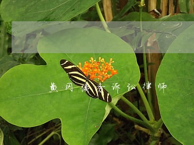 黄冈债务诉讼律师 黄冈债务诉讼律师