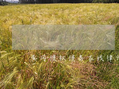 黄冈债权债务在线律师 黄冈债权债务在线律师