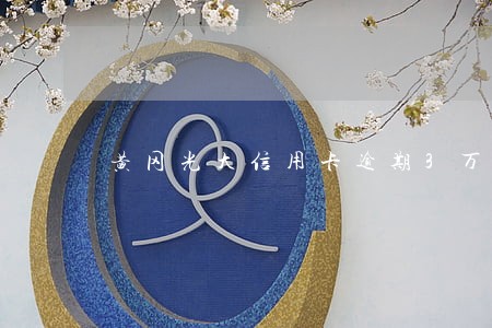 黄冈光大信用卡逾期3万