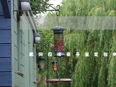 黄冈司法亲子鉴定在哪 黄冈司法亲子鉴定在哪