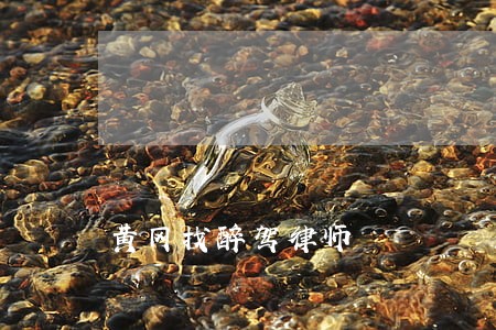 黄冈找醉驾律师 黄冈找醉驾律师